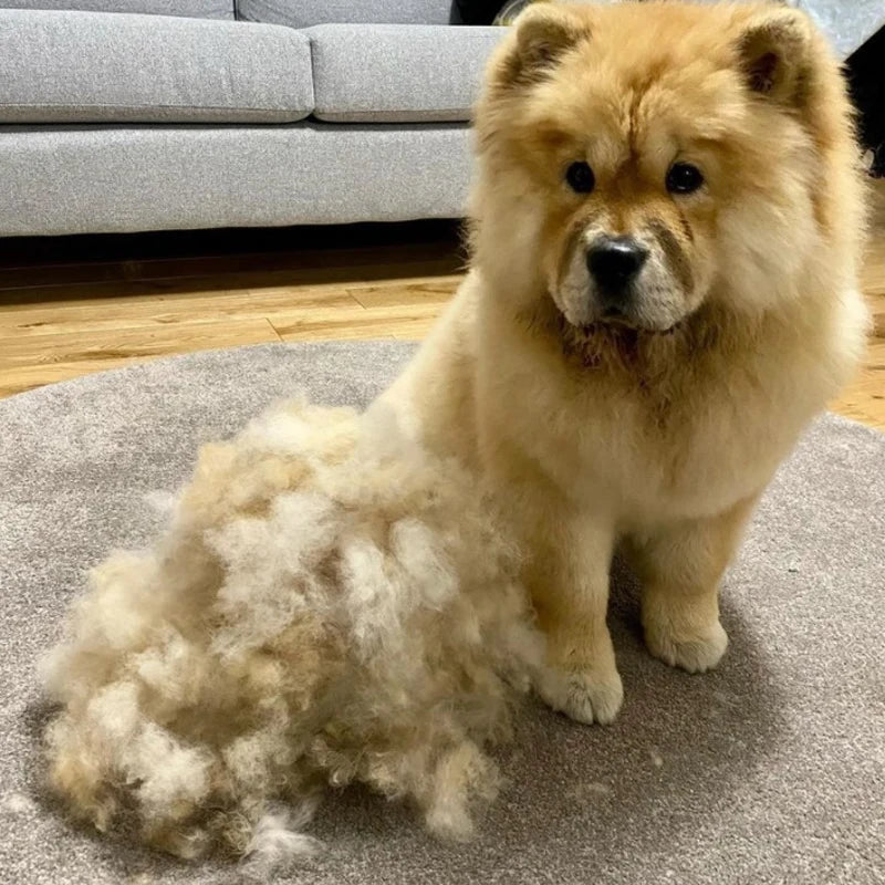Animal Hair Brush Dog Grooming Brush Pet Hair Remover for Matted Long and Short Curly Haired Cats Pet Supplies Dog Accessories