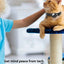 Pet cats AirTag PU Anti Loss Collar  Breakaway Reflective Strips Adjustable Kitten Collar Waterproof  cat collar accessories