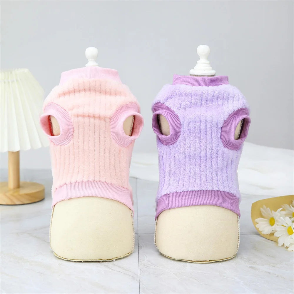 Autumn Winter Sphynx Cat Clothes Korean Pet Sweater for Cats Gotas Katten Kedi Pullovers Dog Hoodie mascotas Costume Clothing