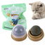 Cross-border new pet cat toy set colorfulfulful feather fishing rod caterpillar bell replaceable head funny cat stick