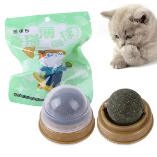Cross-border new pet cat toy set colorfulfulful feather fishing rod caterpillar bell replaceable head funny cat stick