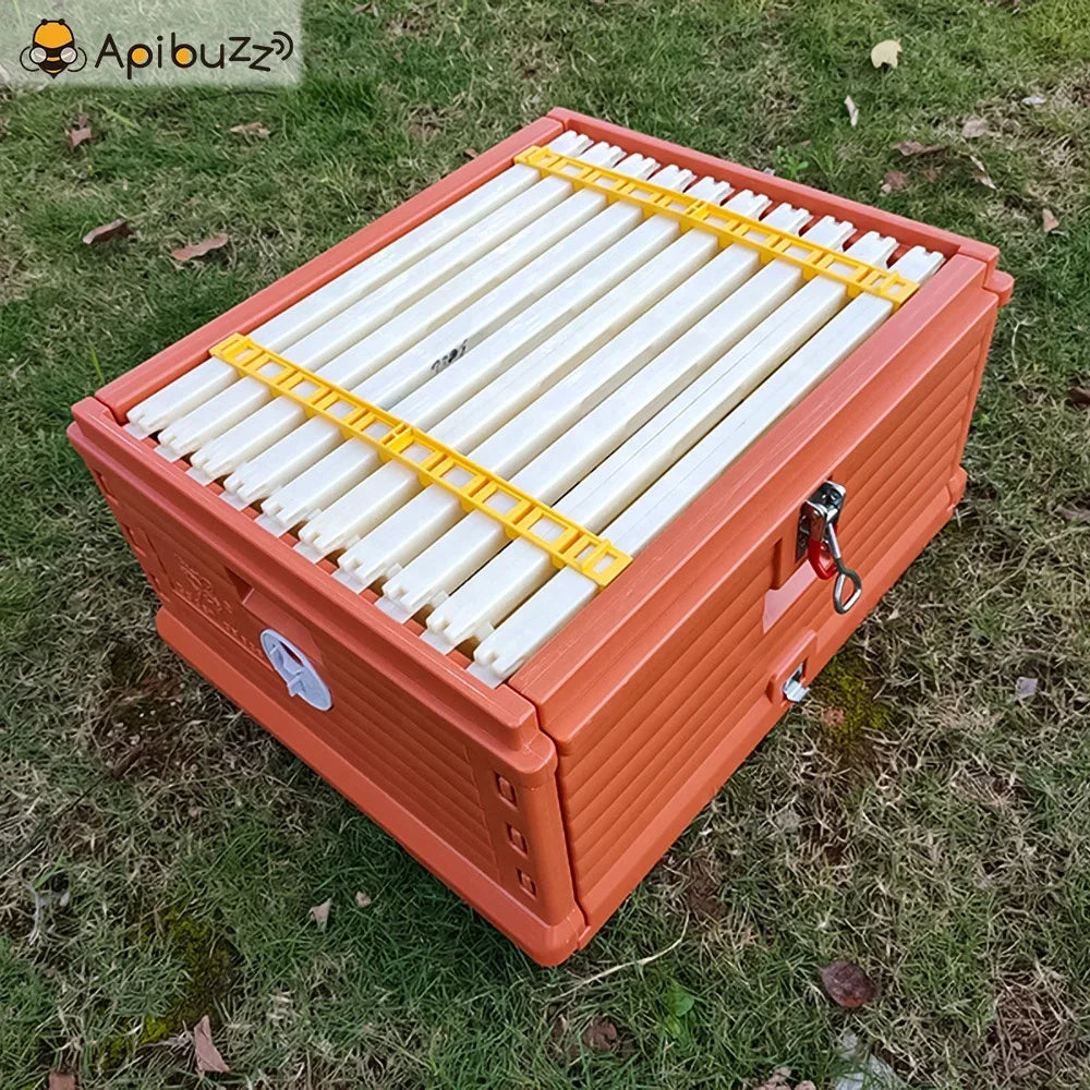 Langstroth 3-Layer 10-Frame Thermo Plastic Bee Hives for Sale - Bee Hive Box - Beekeeping Equipment Wholesale - Beehive Supplies