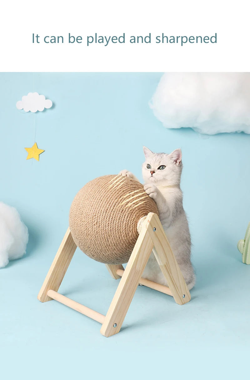 Clearance_Cat Supplies_Continuous updates