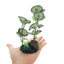 UXCELL Aquarium Plastic Plants Aquarium Artificial Grass Fish Tank Decorative Plants Fish Pet Supplies Ornaments Accessories