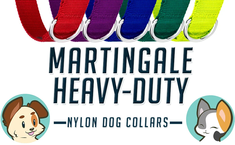 Martingale Heavy Duty Nylon Dog Collar for Small, Medium, Large Breeds Adjustable Safety Training Collar
