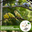 Bird Playground Stand Bird Perch Stand For Cage Natural Wooden Conure Budgie Lovebird Stand Activity Center Claw Grinding Toy