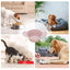 Dog Bowl Pet Collapsible Bowls Silicone Portable Foldable 600ml Dog Feeder Dog Dispenser Water Or Food Pet Feeding Watering Dish