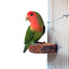 Natural Wood Pet Parrot Raw Wood Fork Tree Branch Stand Rack Squirrel Bird Hamster Branch Perches Chew Bite Toys Stick Supplies