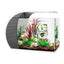Wholesale Hygger 5 Gallon 19L Eco-Friendly Glass Aquarium Fish Tank with LED Lights and Filter Pump