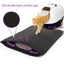 Cat Litter Mat EVA Double Layer Cat Litter Mat Cat Litter Basin Sand Falling Mat Eva Cat Litter Mat Cat Nest Mat Pet Mat