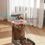 Pet Automatic Feeder Cat Food Bowl Things for Cats Puppy Bowl Feeding Watering Supplies Drinker Dog Food Storage Dispenser