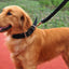 Heavy Duty Wide Military Thick Dog Collars for Large Dogs Adjustable Strong Nylon Tactical Pet Collar with 2-Rows Metal Buckle
