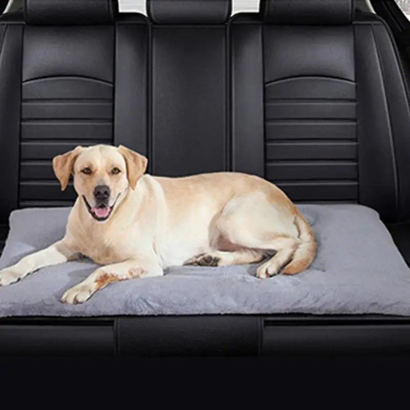 Self Warming Cat Bed Soft Warm Heated Dog Mat Thermal Blanket Non-slip Self-Heating Cat And Dog Bed Mat Pet Heating Pad For