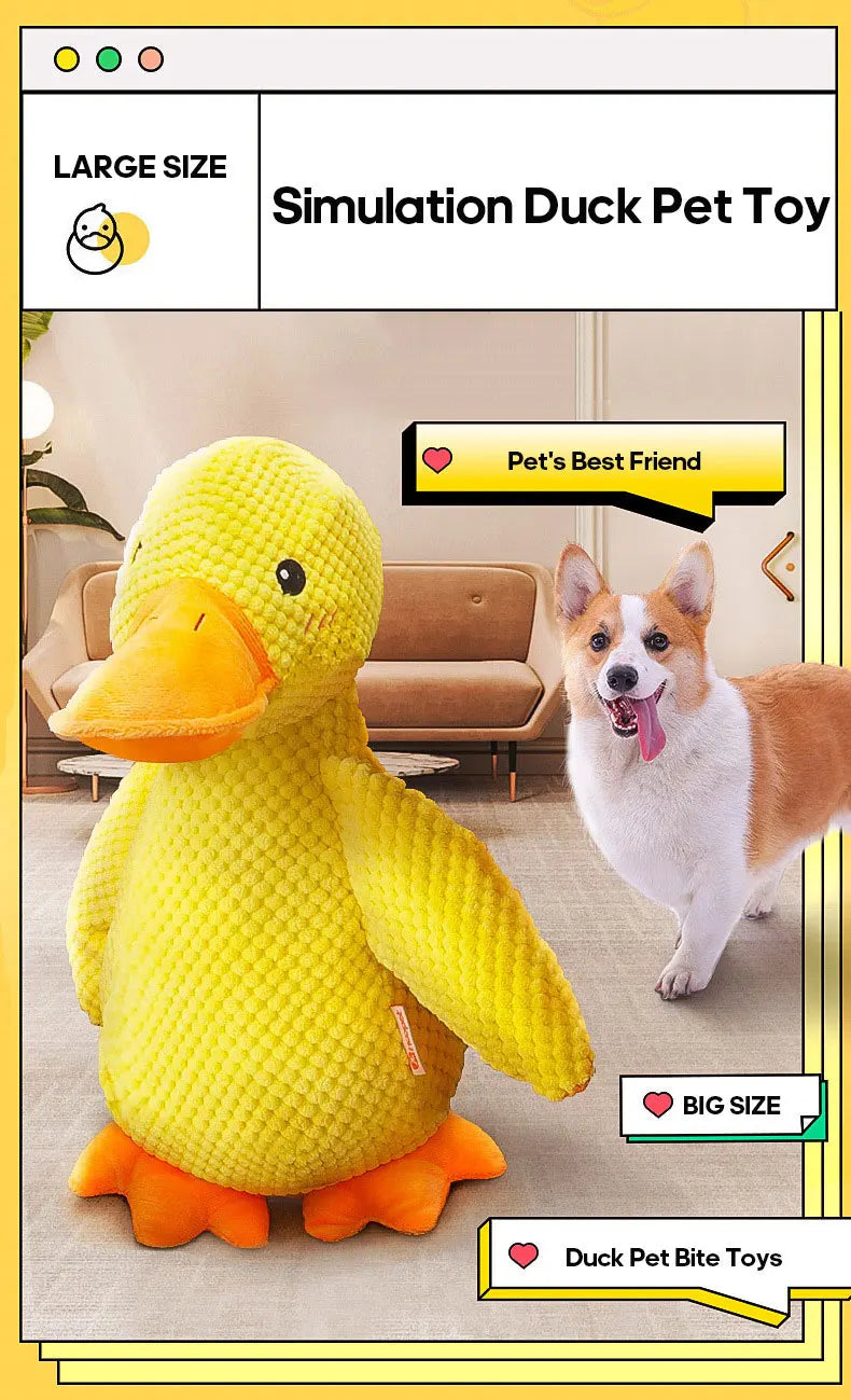Cat and dog toys Plush molars sound puppy alone heart extractor artifacts Golden retriever Corgi dog pet supplies