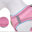 Reflective Pet Harness And Leash Set For Dog & Cat, No Pull Dog Vest Harness With Breathable Mesh
