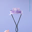 Pet Caps Puppy Round Brim Visor Hat Cat Dog Sun Cap with Ear Holes for Teddy Pug Chihuahua Shih Tzu Yorkshire Terriers Papillons