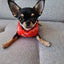 Dog Clothes For Small Dogs Yorkia Mini Chihuahua Dog Clothes Winter Cat Jacket Coat For Pug Puppy Down Coat Sphynx Pets Apparel