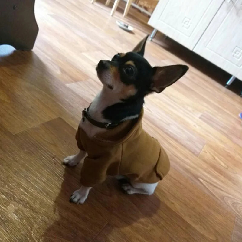 Winter Pet Doggy Clothing Leisure Small Dogs Hoodies Coat for Puppy Soft Warm Cat Dog Sweater Sweatshirt Teddy Chihuahua Clothes