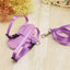 Cute Angel Pet Puppy Dog Leashes And Collars Set Cat  Harness 3D Wings Adjustable for Small Medium Dogs Outdoor Walking Supplies