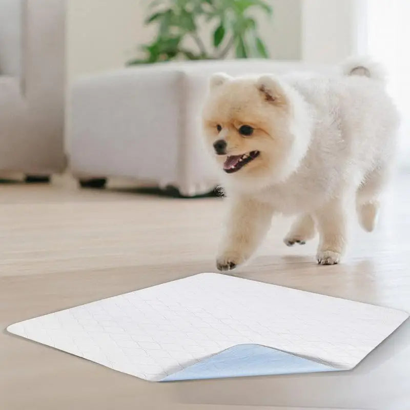 Dog Pee Pad Dog Mat Dog Pads Washable Dog Pee Pad Non-Slip Dog Mats Pee Pads For Dogs Comfortable Pet Pee Pads For Training