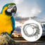 Foot Ring for Pet Parrot, Foot Chain, Foot Ring, Flying Training, Activity Opening, Stand Accessories, Bird Supplies