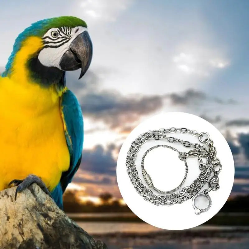 Foot Ring for Pet Parrot, Foot Chain, Foot Ring, Flying Training, Activity Opening, Stand Accessories, Bird Supplies