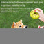 Dog Squeaky Toy Assorted Donut Dog Toy With Squeakers Soft Pet Toy For Puppy Durable Dog Toy For Exercise Chewing Ability And