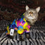 Pet Dog Clothes Winter Warm Dog Windproof Coat Thicken Pet Clothing For Dogs Cats Costume Jumpsuit Hoodies Jacket Pet Supplies