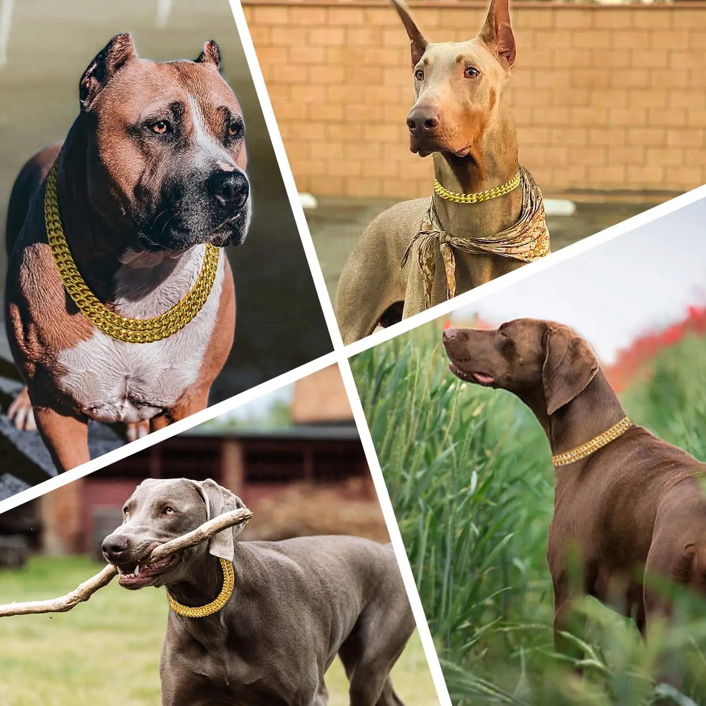 30-71cm Dog Collar Metal Adjustable Double Row Telescopic Chain Triple Ring Explosion-Proof Punch Collar Dog Training Supplies