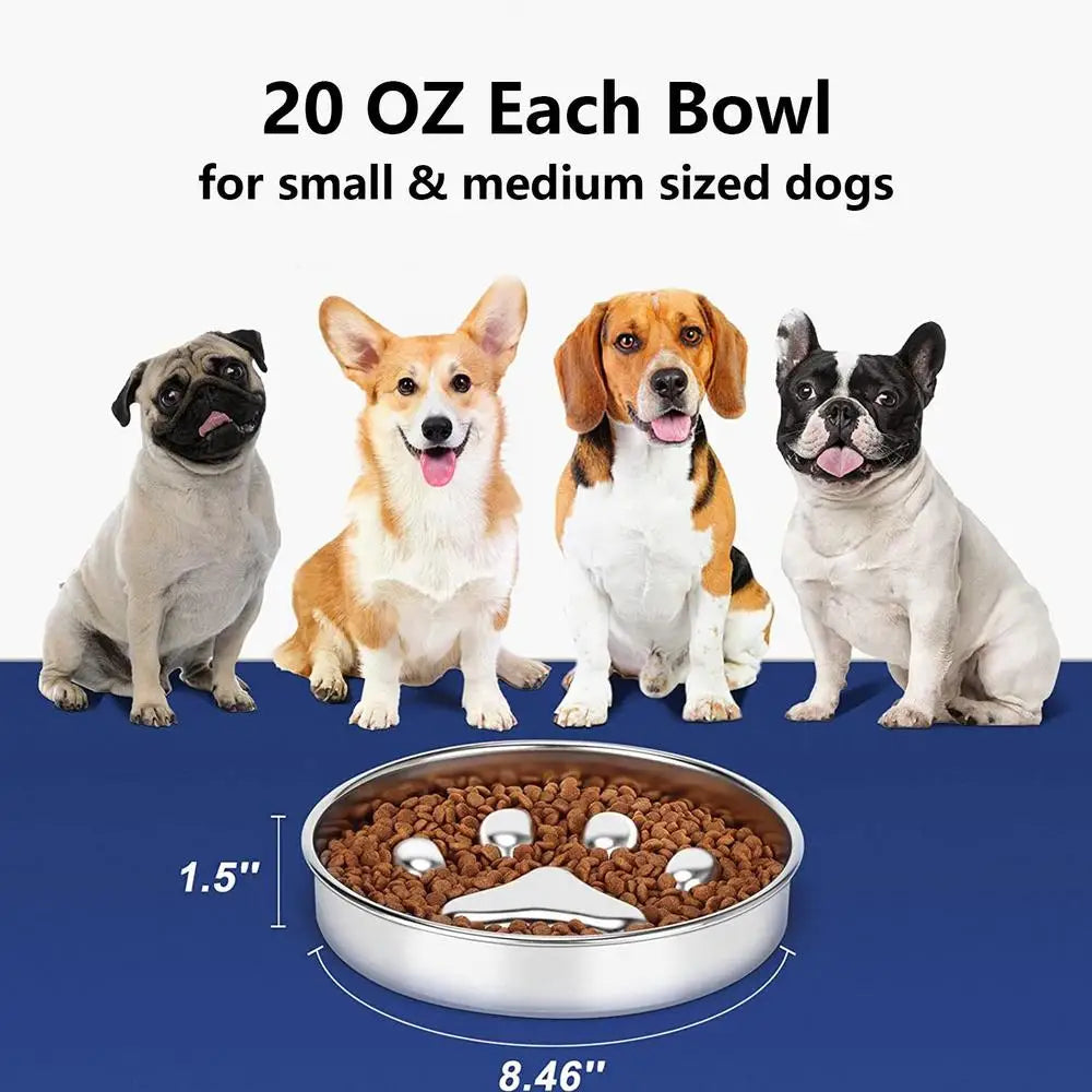 Dog Food Bowl Anti Rust Cat Food Bowl Oven Fridge Safe Pet food Container Dish for Small Medium Size Dogs for Indoor Outdoor