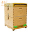 Beekeeping Equipment Plastic Polystyrene  Bee Hives Langstroth Plastic Beehive For Apis Mellifera