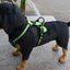 Adjustable Nylon Dog Harness Vest Reflective Soft Breathable No Pull Dog Harness Pet Harness Leash For Small Large Dogs
