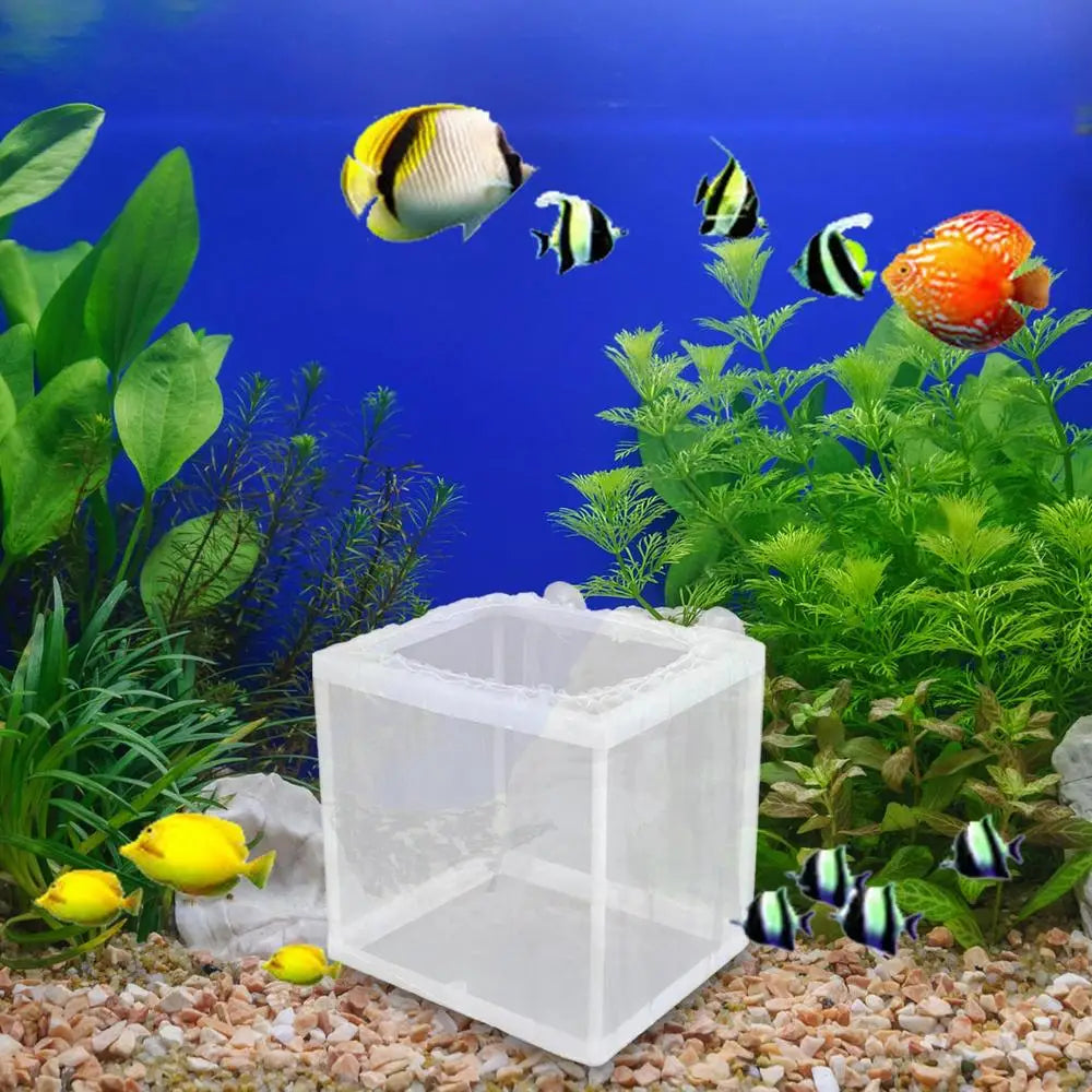 Fish Breeder Box with Suction, Aquarium Hatcher, Mesh Box, Juvenile Fish Separation Net, Tank Incubator Box, Fry Hatchery, DIY
