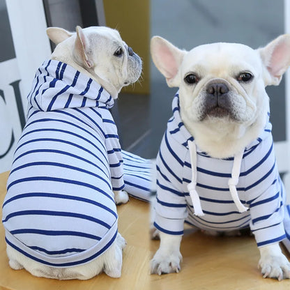 2023New Spring Summer Dog Hoodies Puppy Small Dog Costume Shirt Yorkshire Terrier Pomeranian Bichon Poodle maltese Clothing Coat