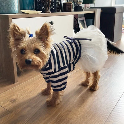 Stripe Dog Dresses for Small Dogs Girl Spring Summer Puppy Clothes Tulle Princess Skirts Party Birthday Pet Apparel
