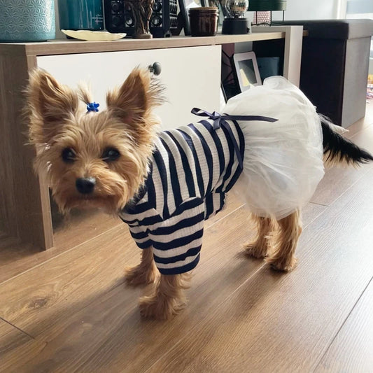 Stripe Dog Dresses for Small Dogs Girl Spring Summer Puppy Clothes Tulle Princess Skirts Party Birthday Pet Apparel