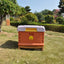 Hot Sale Thermo Insulated Beehive HDPE One-Layer Langstroth Plastic Bee Hive for Beekeeper