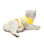 Cat Recovery Suit Kitten Suit E-Collar Alternative for Cats Puppies Small Dogs Abdominal Skin Anti Licking Pajamas Pet Clothing