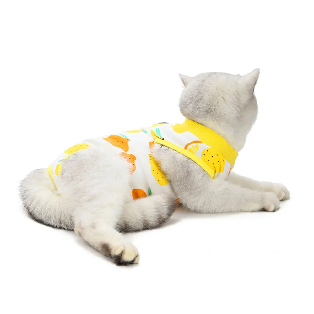 Cat Recovery Suit Kitten Suit E-Collar Alternative for Cats Puppies Small Dogs Abdominal Skin Anti Licking Pajamas Pet Clothing