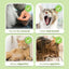 Cat Grass Stick Cat Grass Chewing Stick Natural Teeth Cleaner Removal Row Kitten Pet Snacks Teeth Caring for Kitten Mouth Health