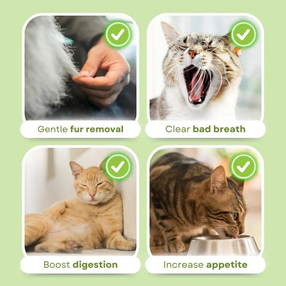 Cat Grass Stick Cat Grass Chewing Stick Natural Teeth Cleaner Removal Row Kitten Pet Snacks Teeth Caring for Kitten Mouth Health