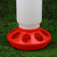 Poultry Thickened Feeder And Drinker Water Food Dispenser Automatic Chicken Birds Chick Waterer Feeding Bucket Container