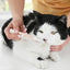 Pet Teeth Cleaning Pen Cat/Dog Tooth Whiten Pen Pet Grooming Toothbrush Cleaning Kit Fresh Breath Soft Bristles Pet Toothbrushes