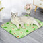 Cats Cooling Beds Accessories Things Cushions Pet Supplies Bed Kitten House Accessory Houses and Habitats Puppy Goods