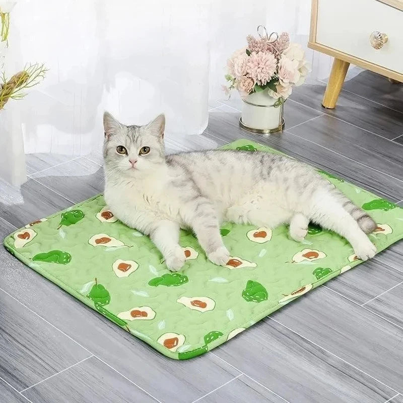 Cats Cooling Beds Accessories Things Cushions Pet Supplies Bed Kitten House Accessory Houses and Habitats Puppy Goods
