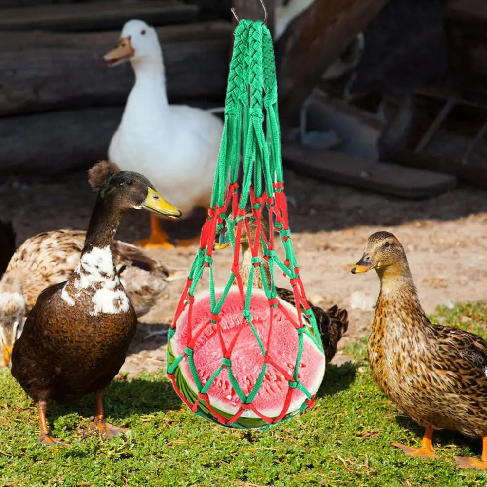 Chicken Vegetable Feeder Poultry Vegetable Feeder Hang Holder Chicken Feeder To Hang Chicken Treat Feeding Tool With Hook