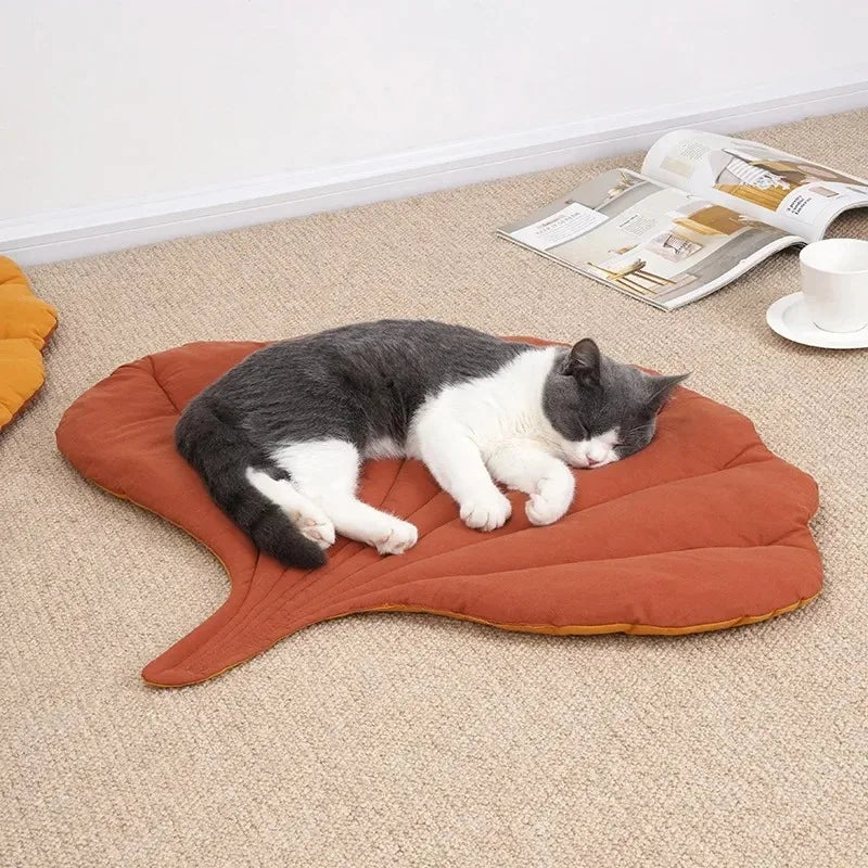 Kitten Bed Cats All Things Pet Accessory Houses House Products Beds Accessories Dog Mat Supplies Cushions Habitats Basket Puppy