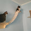Wall Mounted Cat Climbing Wood Shelves Cat Bridge and Cat Hammock or Platform with Pedals for Kitten Perch and Rest