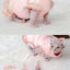 Sphynx Hairless Cat Clothes for Spring Autumn, Cute Rainbow Ruffles Sleeve Cotton Dress Pet Apparel Costume Cat Dress for Kitten