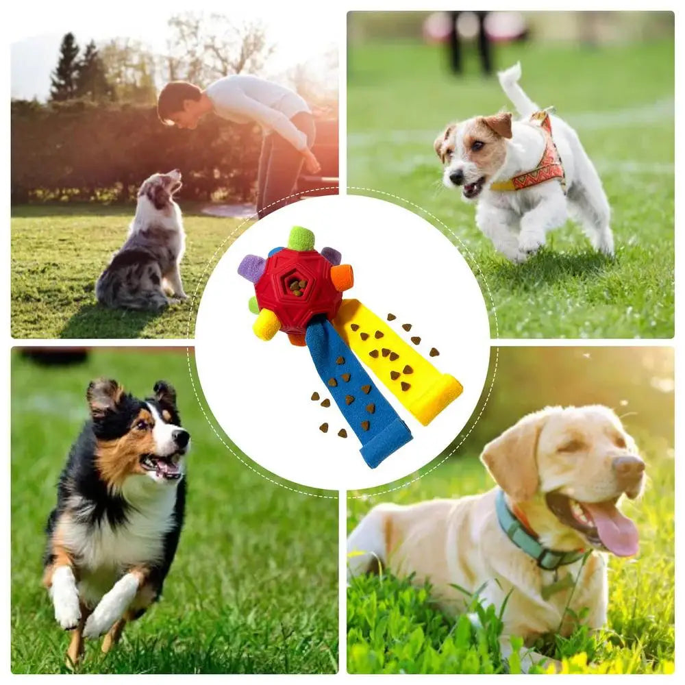 Dog Treat Hiding Toy Snuffle Ball Interactive Slow Feeder Treat Toy Slow Food Training Sniff Ball Dog Exquisite Comfortable
